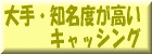 大手・知名度が高いキャッシング